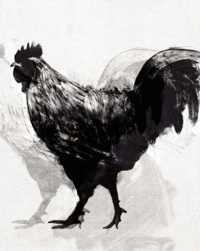 Modern Rooster 2