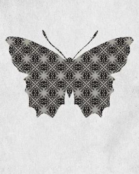 Bold Butterfly 2
