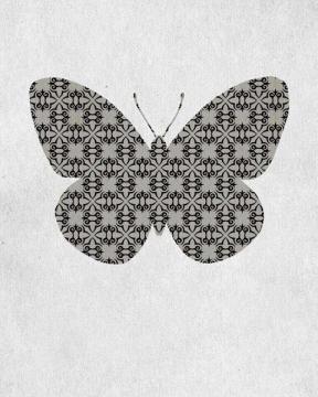 Bold Butterfly 4