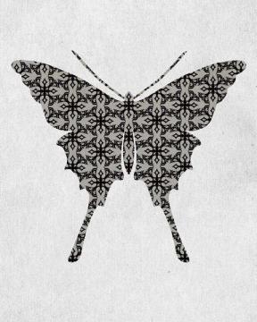 Bold Butterfly 5