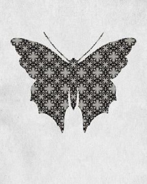 Bold Butterfly 6