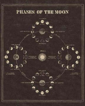 Astronomy 101 Phases Of The Moon