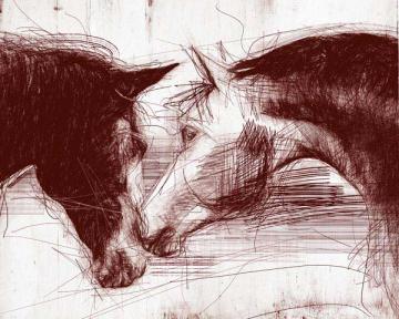 Sketched Horse Heads 2