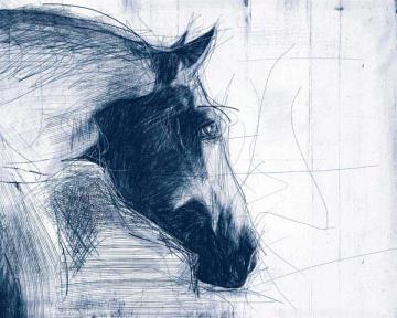 Sketched Horse Head Blue 1