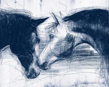 Sketched Horse Head Blue 2