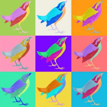 Pop Art Bird 1