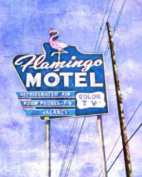 Roadside Flamingo Motel