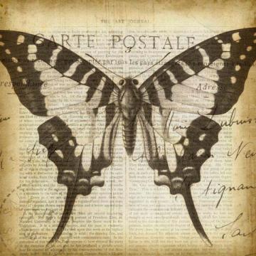 Carte Postale Butterfly I