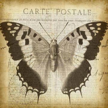 Carte Postale Butterfly II