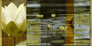 Lotus Panel I