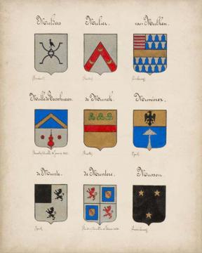 Code of Arms VIII