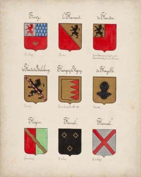 Code of Arms XI