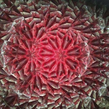 Kaleidoscope in Red II