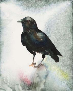 Small Black Crow