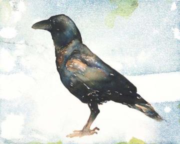Side Crow