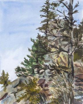 Yosemite Pines