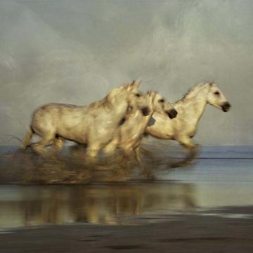Three Horse Blur Nuriel Cloud