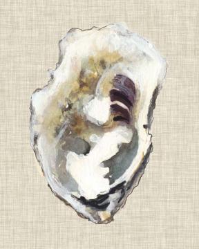 Oyster Shell Study I