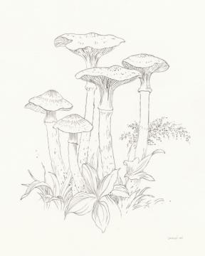 Nature Sketchbook I