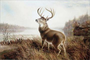 A Stag by a Lake